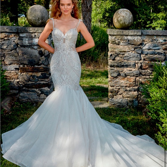 Amalia Carrera Elegant Ivory Fit and Flare Wedding Dress with beading - Picture 1 of 13